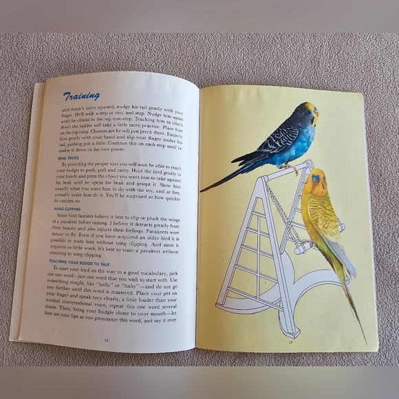 Everything To Know About Parakeets Budgies Book Complete Manual Vintage 1953‎ - Picture 5 of 6
